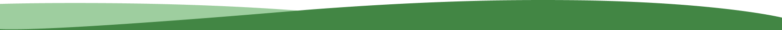 Green curved stripe or decorative divider element on white background